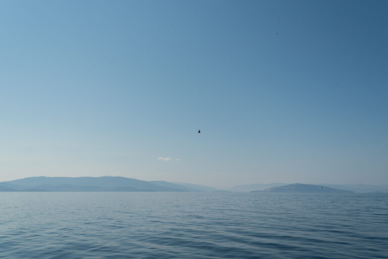 shoreline-protection-confederated-salish-kootenai-tribes