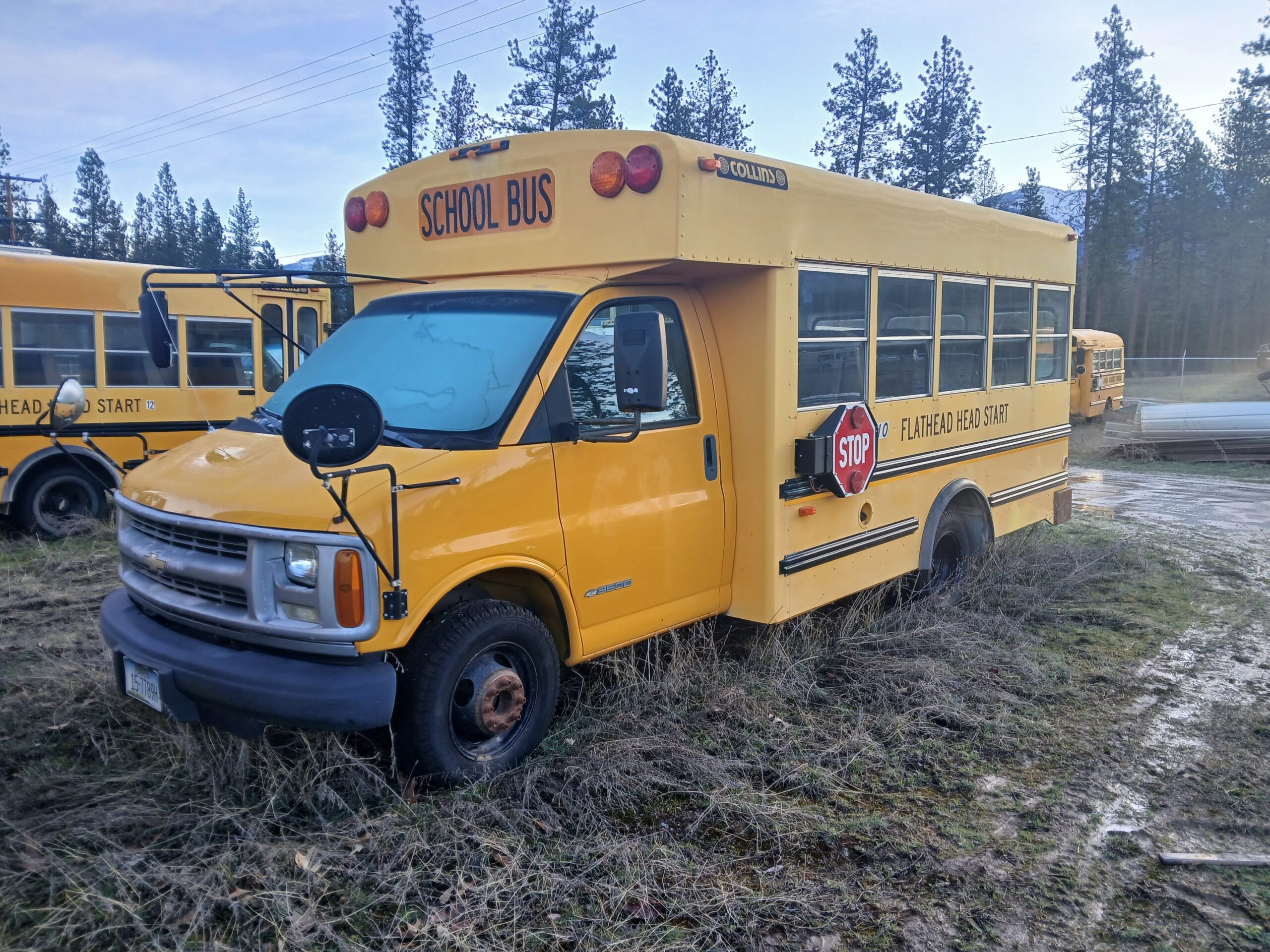 BUS 10