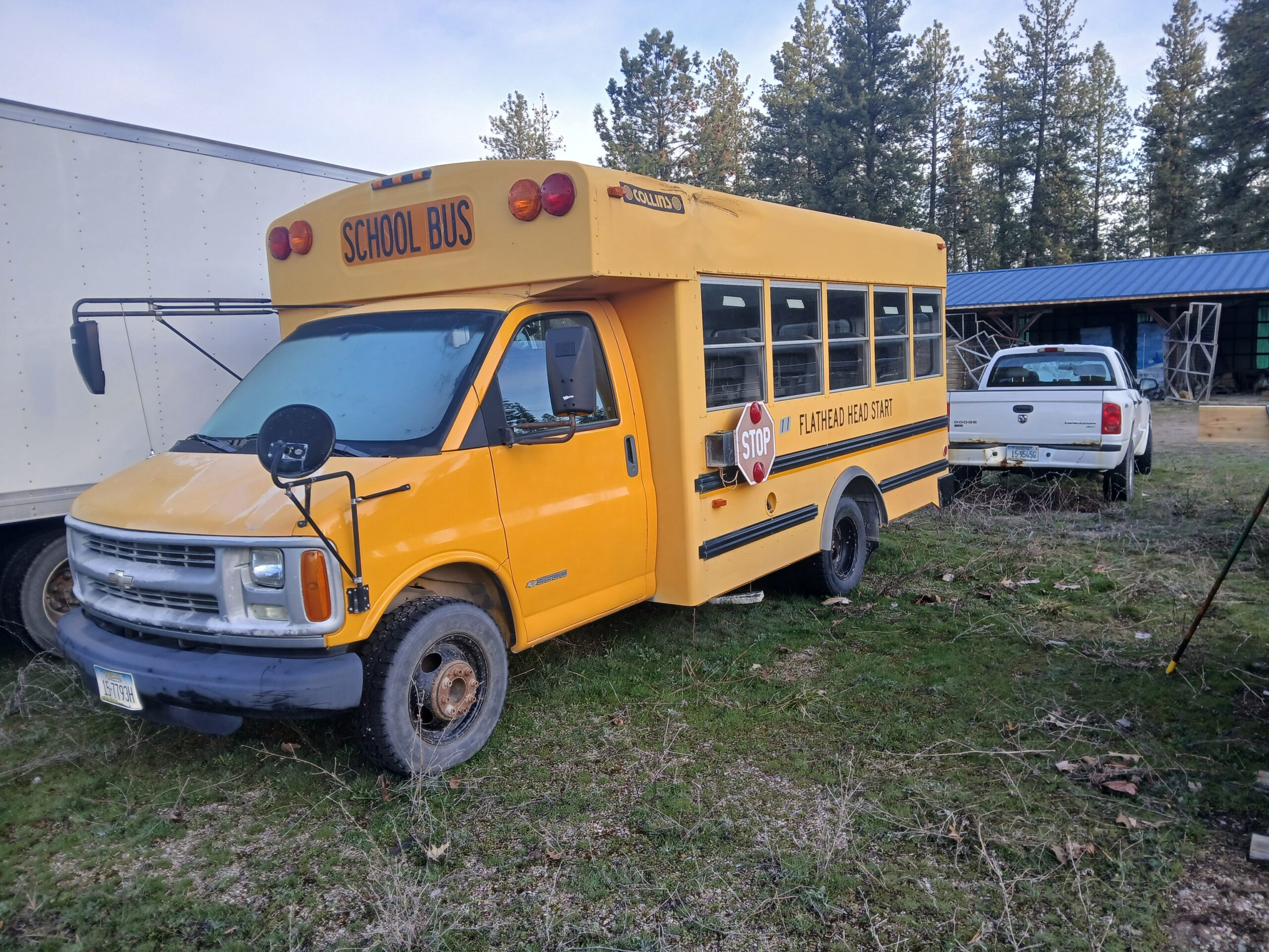 BUS 11