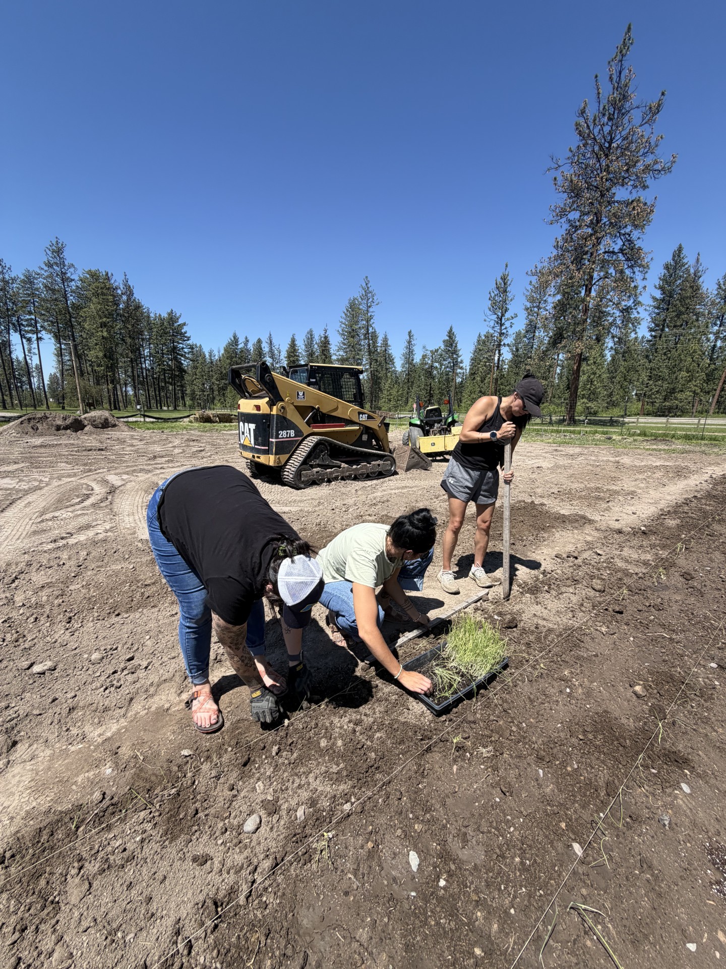 garden volunteers