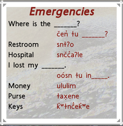 Emergencies Transcript