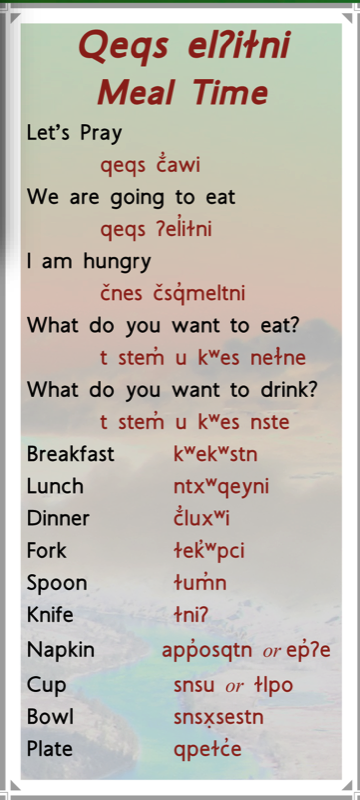 Meal Time Transcript