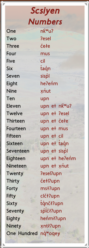 Numbers Transcript