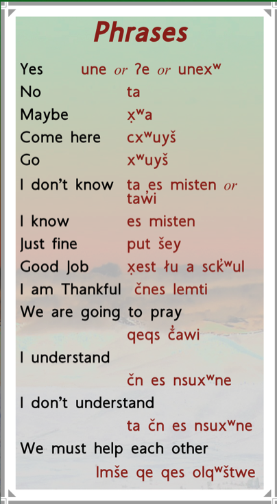 Phrases Transcript