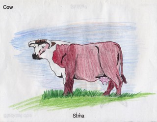 stacks_image_8273
